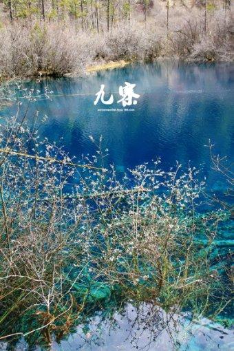 成吉思汗的后代究竟姓什么的吖？游戏画面